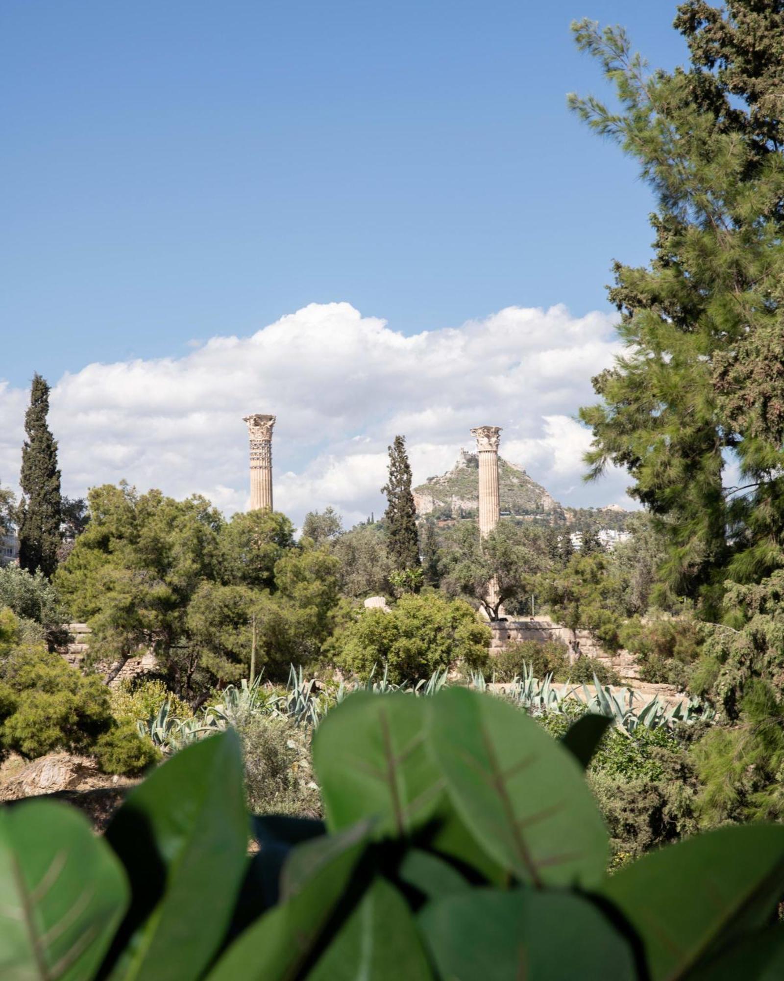 Διαμέρισμα Dios Zeus Temple View 1 Bedroom